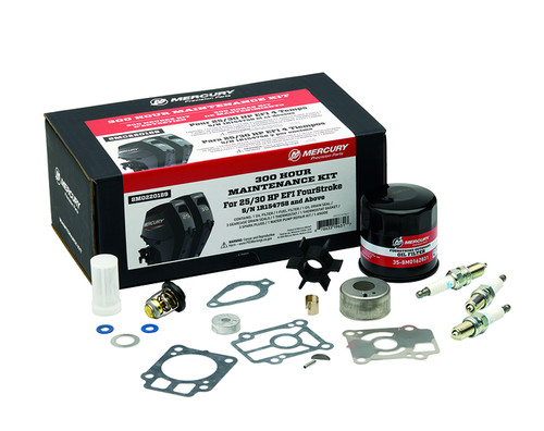 Mercury kit manutenzione 300 - -,